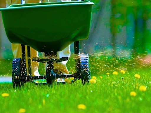 Better method gets rid of dandelions on lawn without using chemicals or vinegar