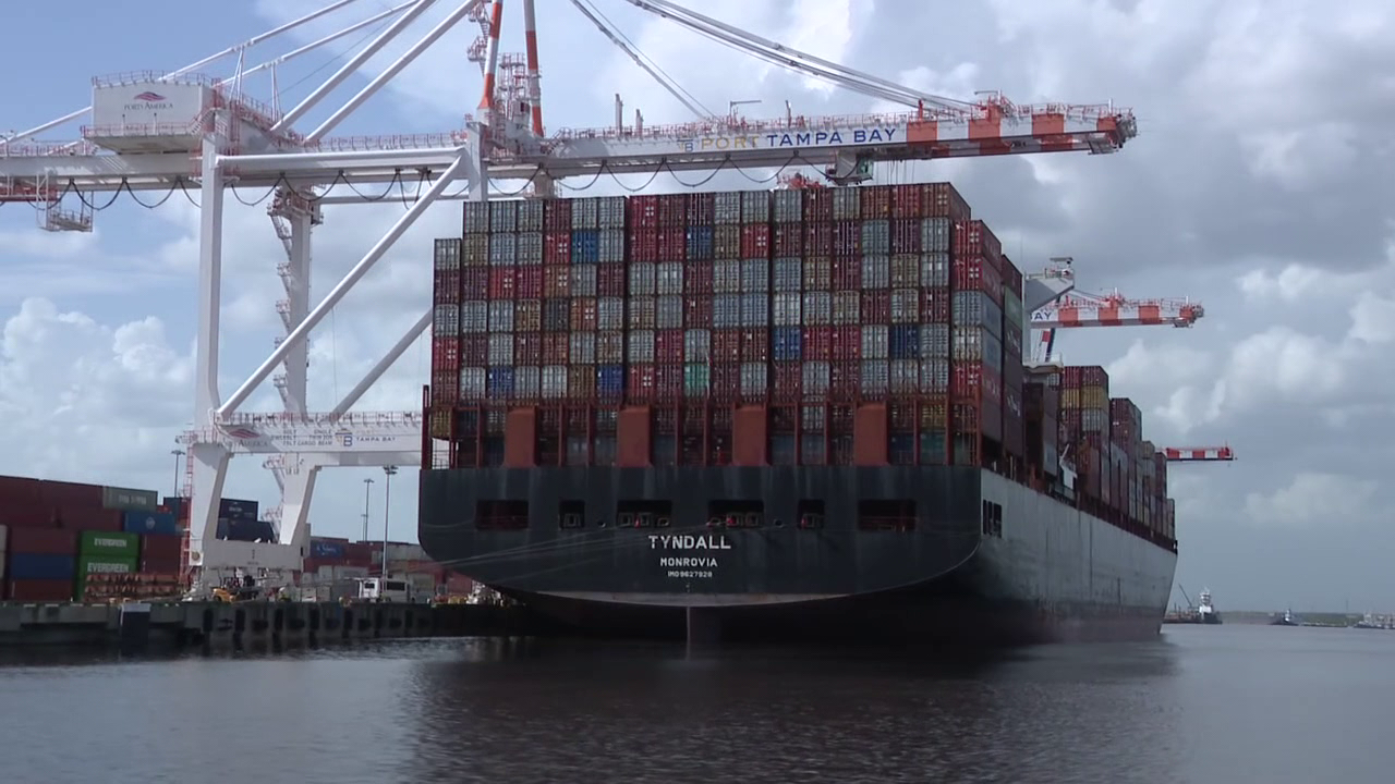 Harbor pilot averts disaster, stops cargo ship from crashing at Port Tampa Bay