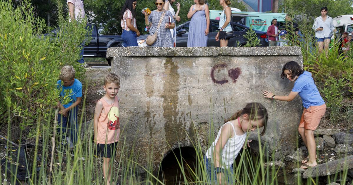 Halsey Creek, one of Charleston’s last remaining creeks, gets a marker and party