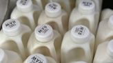 There's bird flu in U.S. dairy cows. Raw milk drinkers aren't deterred
