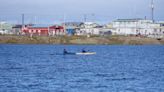 Biden administration has duty to consult with North Slope Iñupiat on homelands