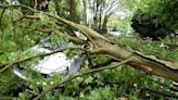 Tree falls and crushes car near Sefton Park after city battered by thunderstorm