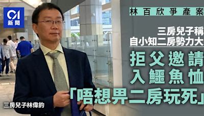 林百欣爭產案｜三房兒子稱自小知二房勢力大 拒入父公司怕被玩死