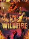 Wild Fire