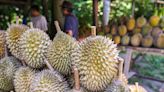 Mat Sabu: Malaysia’s fresh durians now allowed for export to China