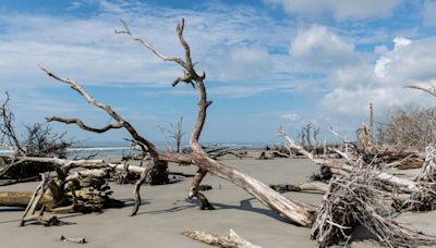 Pritchards Island beach.jpg