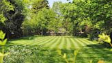 How Often Should You Mow Your Lawn? Experts Weigh In