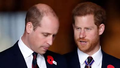 Prince Harry admits he is 'worried' for William and Kate's children