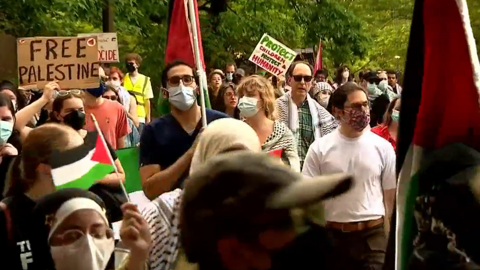 'Demanding an end to a genocide': says pro-Palestinian protester who marched in Nashville