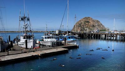 Sewage spills cause beach closures in Morro Bay and San Diego