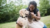 Canine expert reveals the secret to a successful training session with your dog, and it might just surprise you