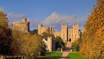 Revealed: Extinction Rebellion's plan to STORM Windsor Castle