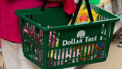 Dollar Tree: los mejores juguetes para perros y gatos que puedes encontrar en la tienda