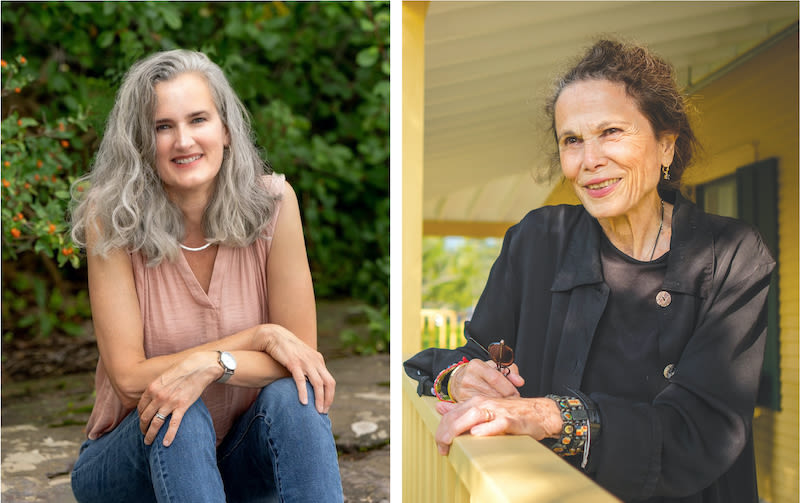 Two local authors release new must-read novels - Addison Independent