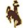 Wyoming Cowboys