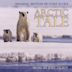 Arctic Tale [Original Motion Picture Score]