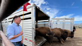 Newland Touts Biden's Investing in America Agenda at Bison Release at Taos Pueblo