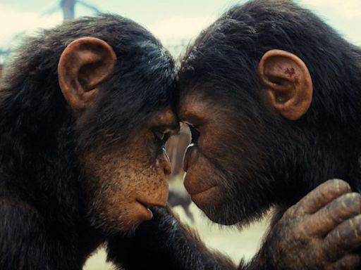 ‘Kingdom Of The Planet Of The Apes’ Lands Hulu Streaming Premiere Date