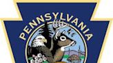 Pa. Game Commission sets 2024-25 migratory game bird seasons - Times Leader