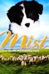 Mist: The Tale of a Sheepdog Puppy