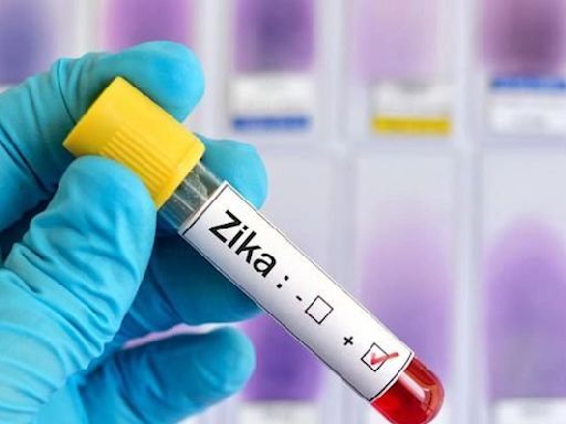 Pune: With 9 New Cases, Zika Virus Tally Now At 48