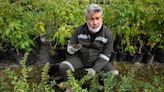 Sembrar árboles, una pena inédita para criminales de guerra en Colombia