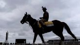 Kentucky Derby winner Mystik Dan takes on 7 other horses in the 149th Preakness - The Morning Sun