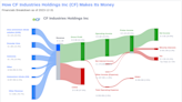 CF Industries Holdings Inc's Dividend Analysis
