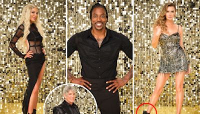 ‘Dancing With the Stars’ Season 33 cast revealed: Eric Roberts, Anna Delvey, Dwight Howard and more