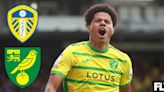 Two factors mean Leeds United should line up alternatives to Norwich City star: View