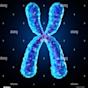 Chromosome Biology