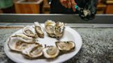 Oysters, through threats of drought and drilling, still a Tallahassee tradition | TLH 200