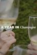 A Year in Champagne