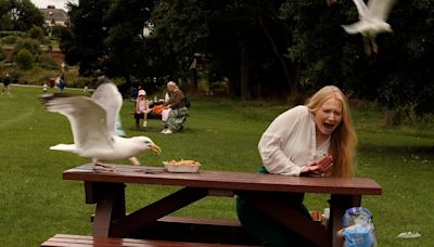 Which High Street lunch is most likely to result in a seagull attack?