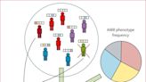 抗生素不是超級細菌唯一的「推手」：20年研究揭示更多驚人真相