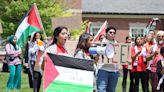 Two Hinsdale Central students organize pro-Palestine rally outside village hall