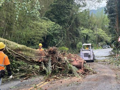 南投山區樹塌壓斷電線 2257戶停電已全數復電