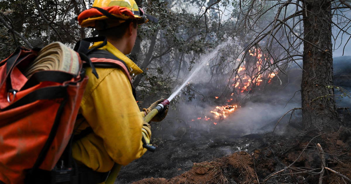 Park Fire jeopardizing California's spring-run Chinook, one of state's most iconic species