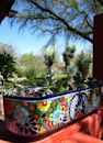 Tucson Botanical Gardens