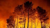 Carbon emissions from French wildfires hit record
