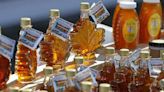 Climate change means uncertain future for Northeast maple trees, syrup season