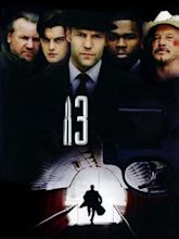 13 (2010 film)