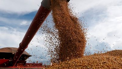 La soja registró una baja semanal de $5000 por tonelada en el mercado argentino