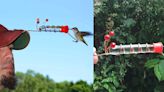 There's a Hummingbird Feeder Hat on Amazon for Just $11