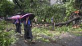 Mumbai rains LIVE: City receives heavy showers; waterlogging in some areas, train services normal