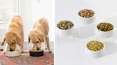 What is the best dog food or puppy food? Experts recommend these top four brands.