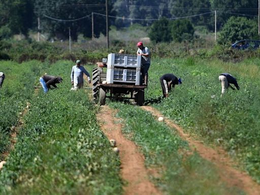 Death of Indian farm worker in Italy sparks outrage