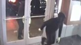Darien police investigating early-morning burglary at Post Road jewelry store