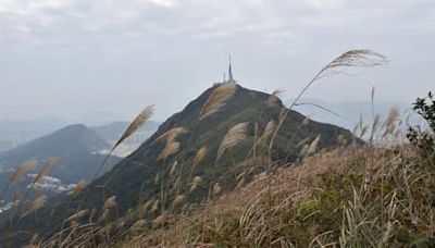 飛鵝山私家車衝落百米山坡 一男被困昏迷 消防設法拯救