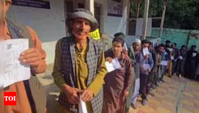 Very healthy, very democratic: Foreign observers on J&K polls | India News - Times of India